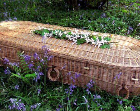 willow coffins