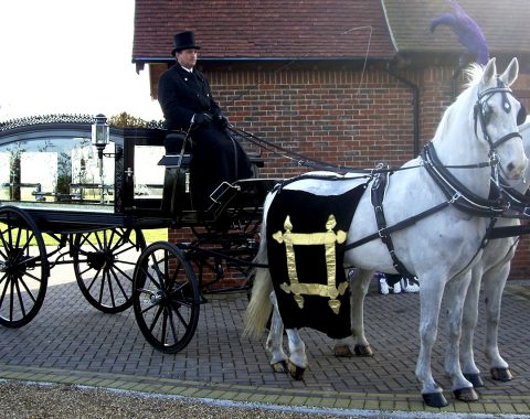 Traditional Services - Horse and carriage